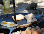 the banded mongoose are checking if there is anything that they can get from us, they loved the eggshells.