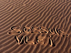 We are in the sossusvlei area.