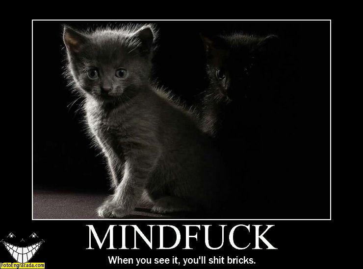 Mindf...