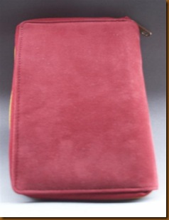 PICT3008 (Large)