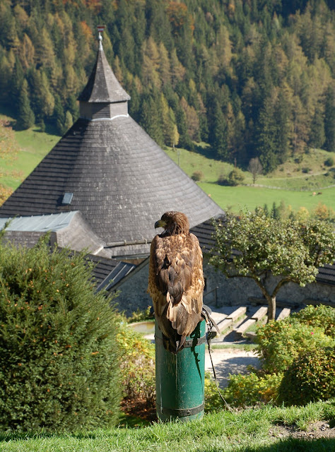 Один день в Австрии: Liechtensteinklamm - Hohenwerfen - Grossglockner-Hochalpenstrasse