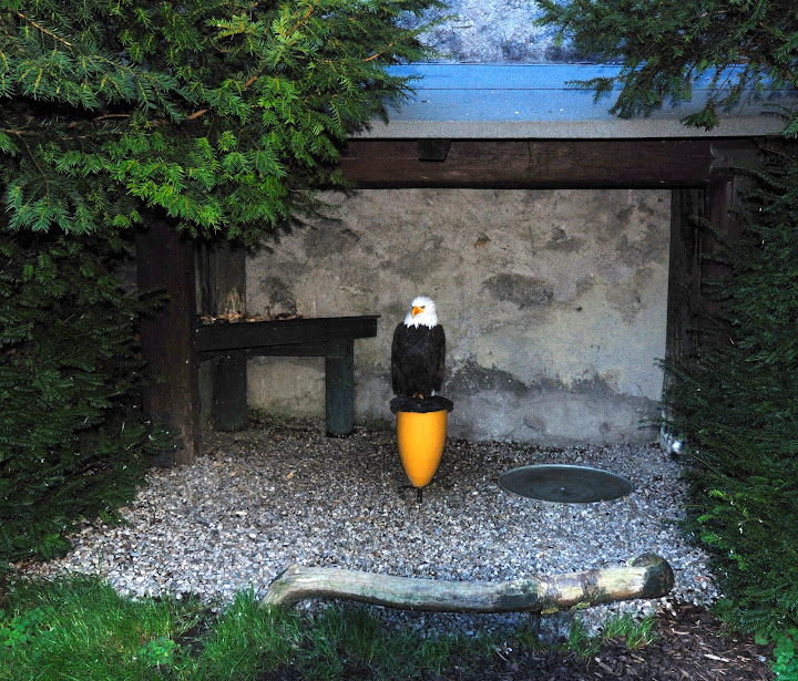 Один день в Австрии: Liechtensteinklamm - Hohenwerfen - Grossglockner-Hochalpenstrasse