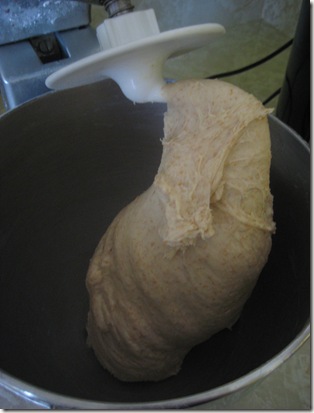 4 dough after kneading