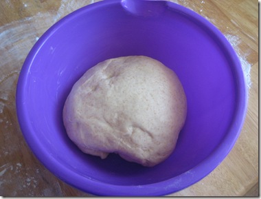 6 dough before first rise