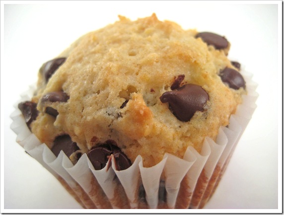 Chocolate chip muffin1