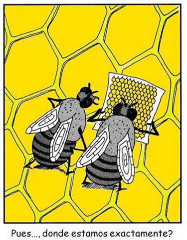 [humor-abejas[9].jpg]