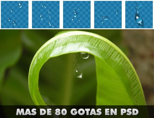 [gotas[5].jpg]