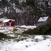 Baumfällarbeiten 008.jpg