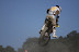 2008_31_08_0169.jpg
