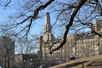Dog on a hill
off-leash time, Fort Greene Park