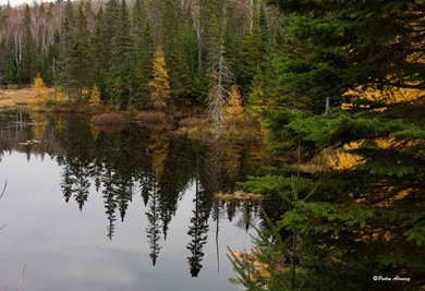 algonking-park-pano12