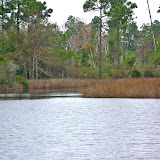 Fishing in Alabama