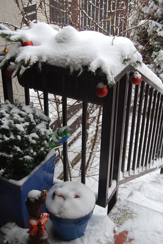 [2010-01-09 046[3].jpg]