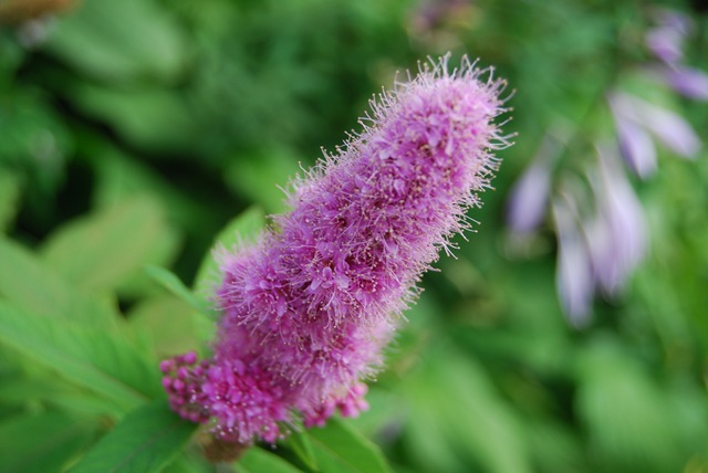 [2009-08-09 116[10].jpg]