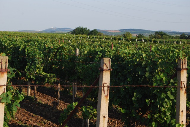 [2009-08-18 002[3].jpg]