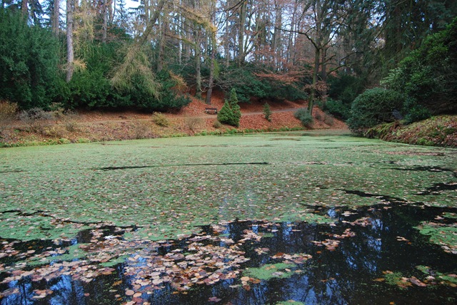 [2009-11-22 013[2].jpg]