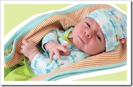 news-09-itzybitzy-1