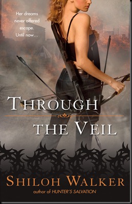 throughtheveil
