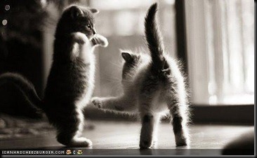 caption-this-picture-21