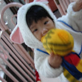 DSC06888.JPG