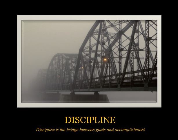 [Discipline bridge2[3].jpg]