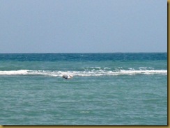 <SAMSUNG DIGITAL CAMERA> <SAMSUNG DIGITAL CAMERA>