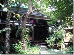 SDC13331 SDC13331