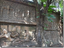 SDC13293 SDC13293
