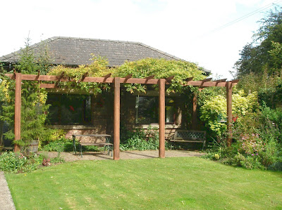 Pergola and patio