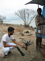 Feeding the birds, Cochin