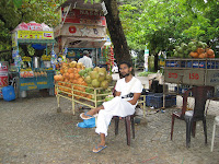 Just chillin, Cochin