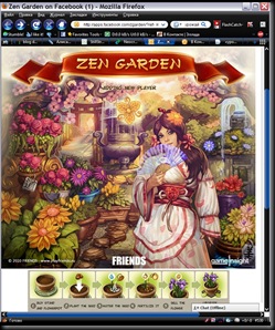 New Facebook Game Zen Garden A New Star Or A New Fail Chick