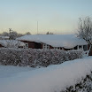 IMG_3487.JPG