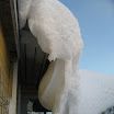 IMG_3481.JPG