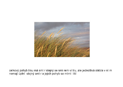 kamirova_turany_Page_15.jpg