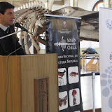 INAUGURACION EXPO ATOMOS MNHN