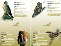 aves_noticia.jpg