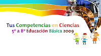 TCC_basica09.jpg