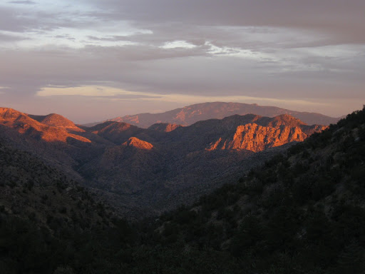 catalinas