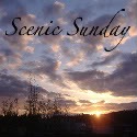 scenic scenic