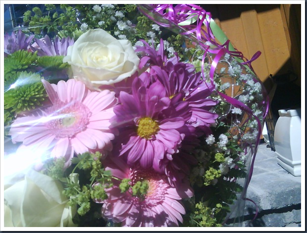 DSC00102 DSC00102