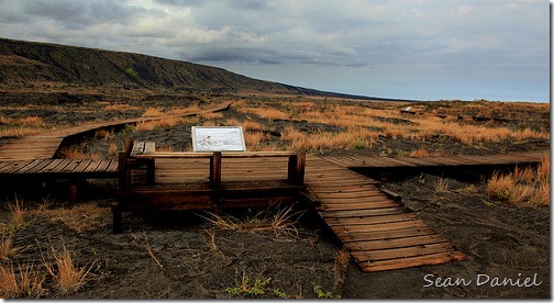 Lonely Walkway