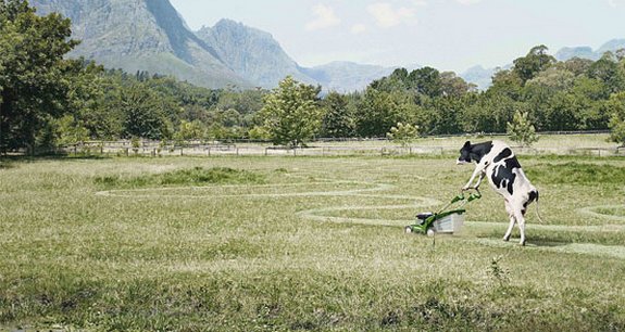 Фотоманипуляции.