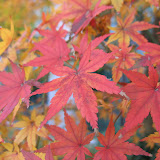 Aichi University Toyohashi Campus
