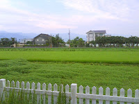 DSC02095.JPG Photo