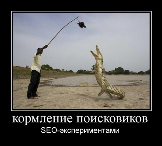 [253-550x495[2].jpg]