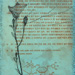 Medicine II