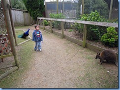 Picture 041