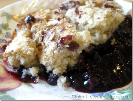 [blueberry cobbler on plate_thumb[4][1][4].png]