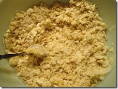 pie crust dough 1